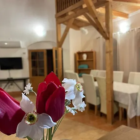 Appartement Gulipan Vendeghaz *